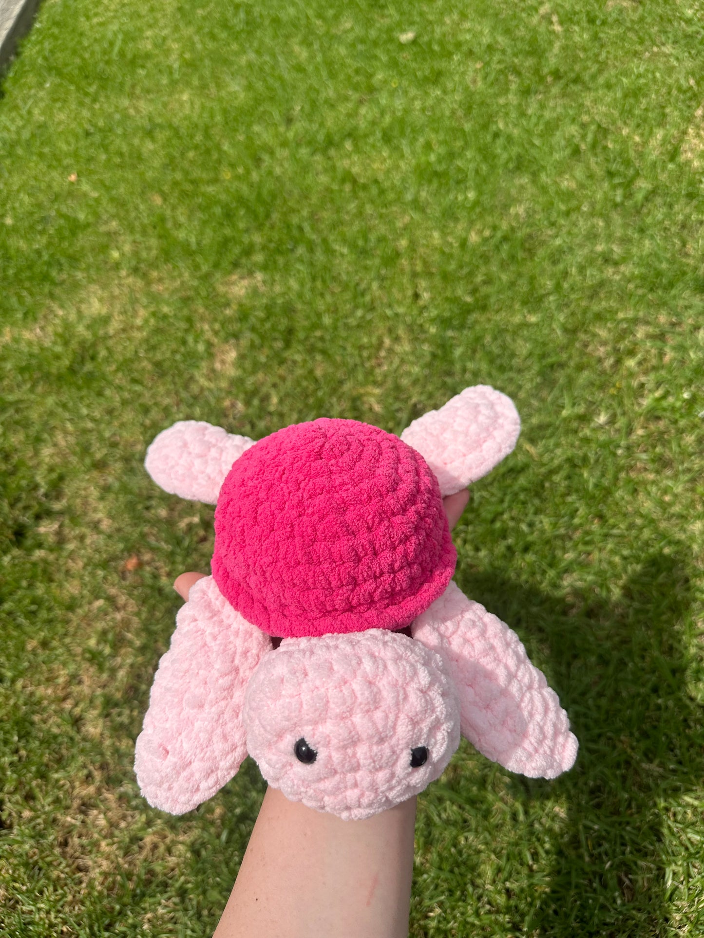 Pink On Pink Turtle