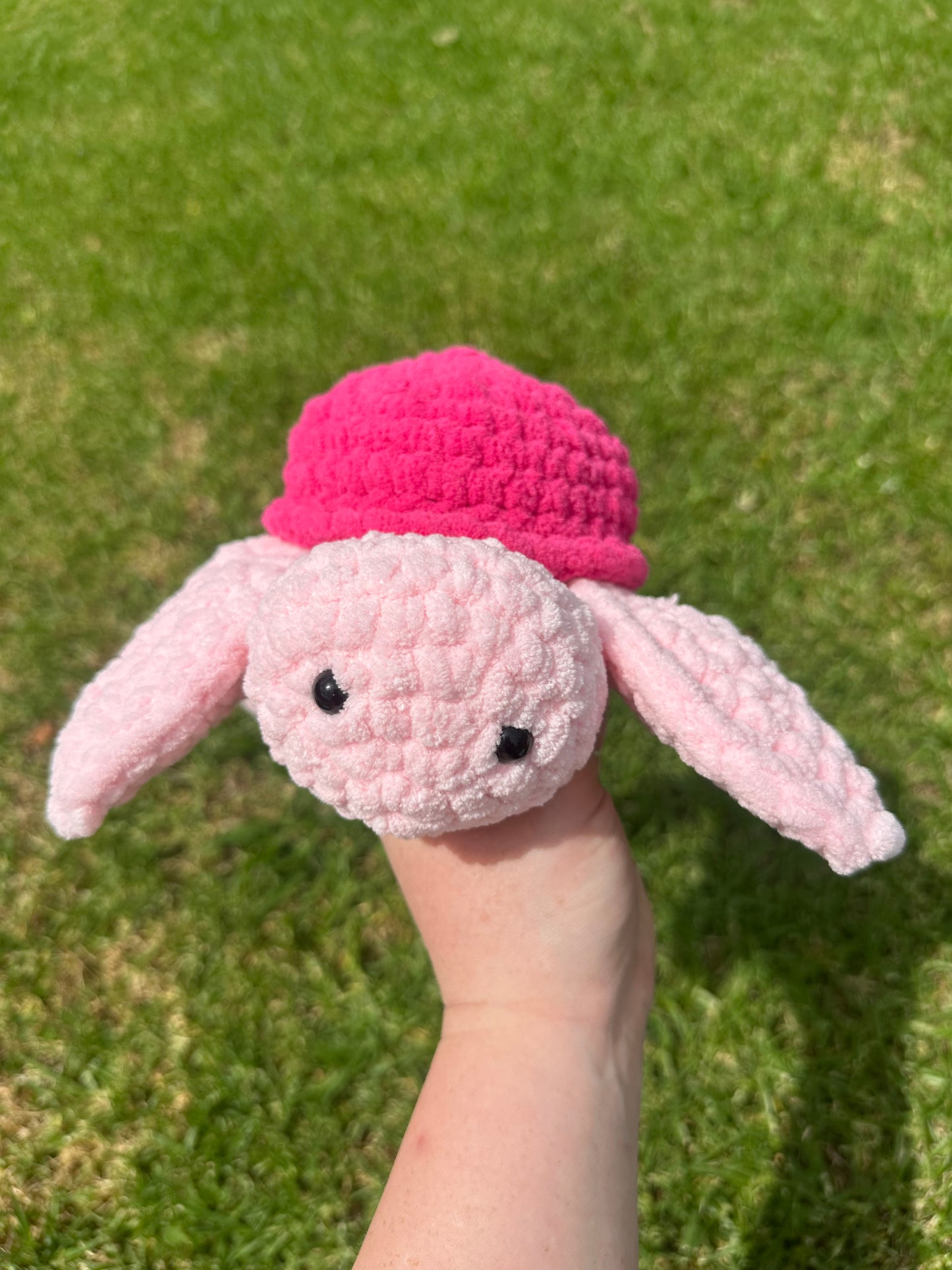 Pink On Pink Turtle