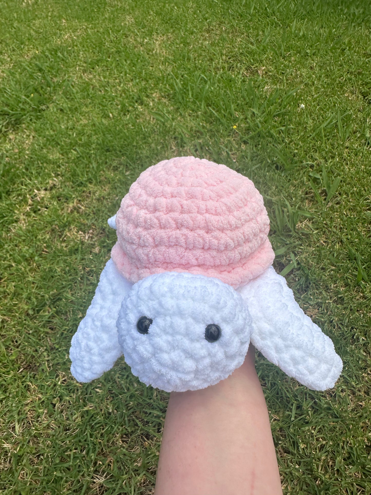 Light Pink Turtle