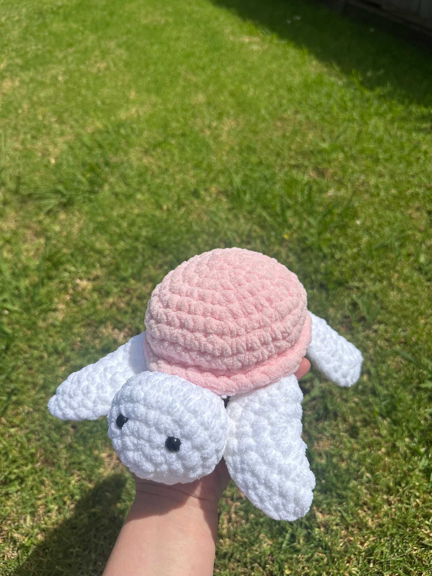Light Pink Turtle